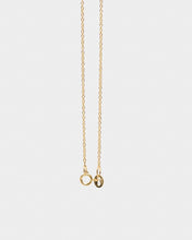 Load image into Gallery viewer, Precious Life Egg Necklace
