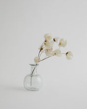 Load image into Gallery viewer, Piccola in Transparent