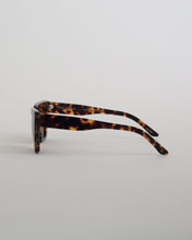 Load image into Gallery viewer, Modan Glasses in Magnatort
